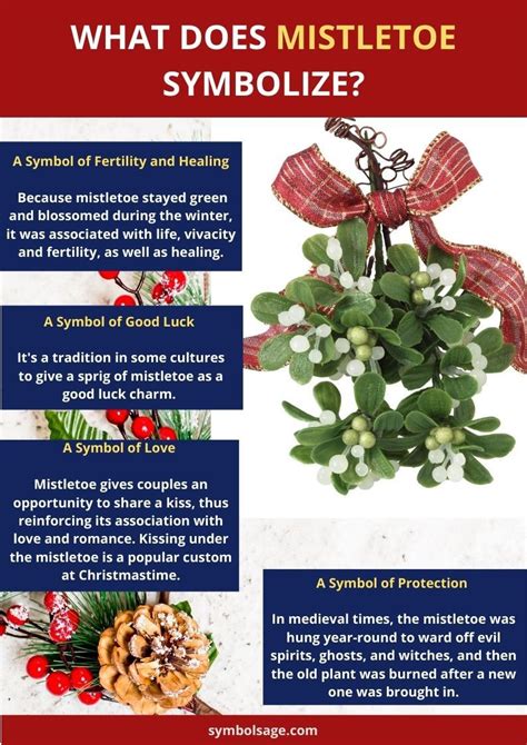 The Science behind Mistletoe Magic: Exploring its Medicinal Potential
